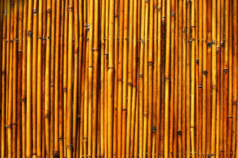 Close-up view of a bamboo fence, showcasing natural textures and warm tones.